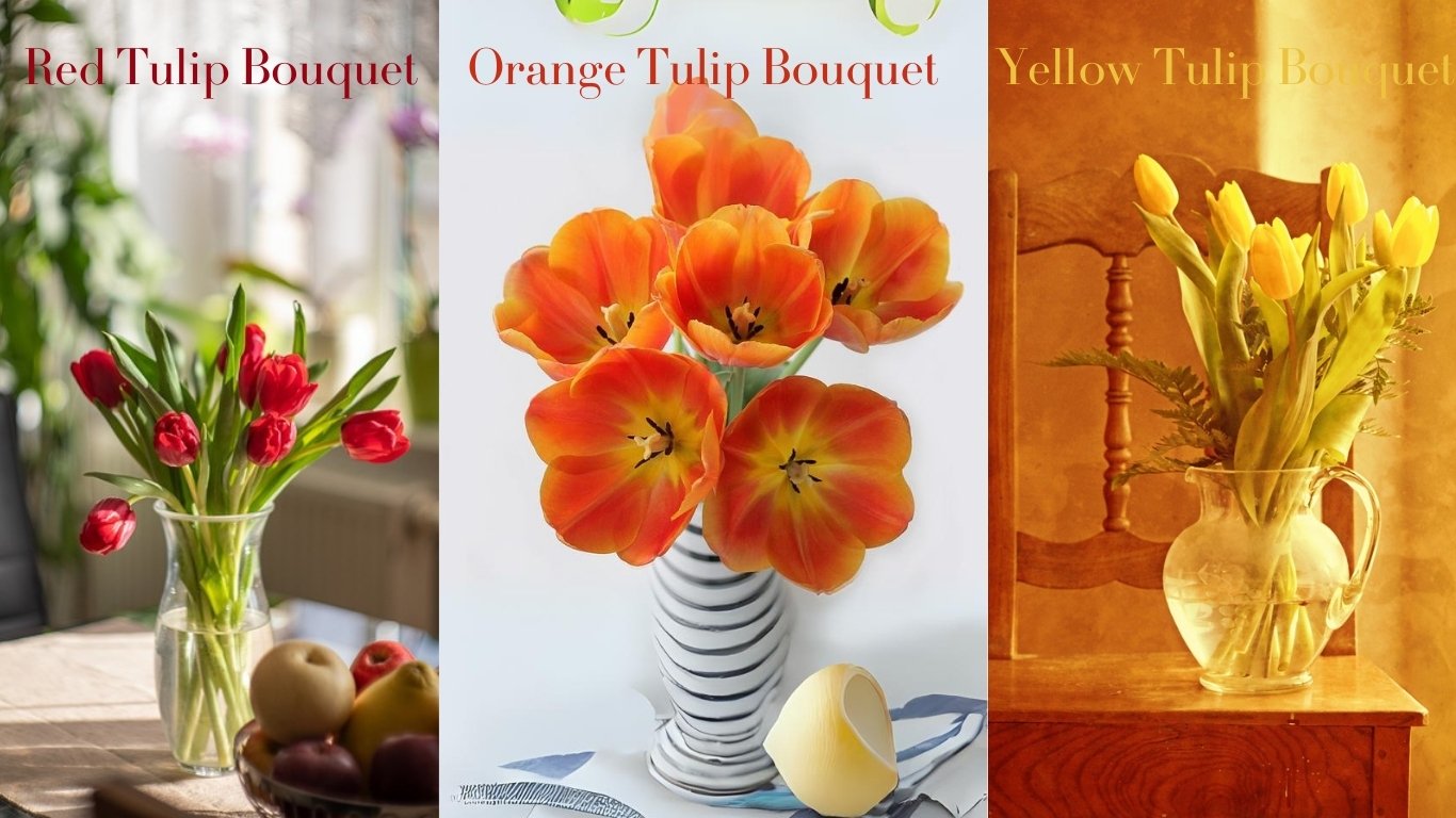 Meaning Conveyed by Red Tulip, Orange Tulip, Yellow Tulip Bouquet