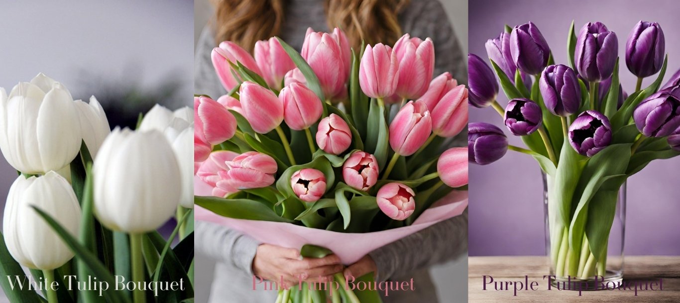 Meaning of White Tulip, Pink Tulip, Purple Tulip